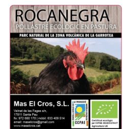 Pollastre-ecologic-rocanegra-etiqueta