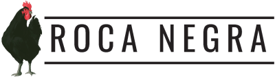 logo-rocanegra-allargat-transp